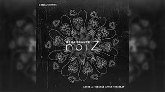Post 5 by RENAISSANCE NOIZ on YouTube (video)