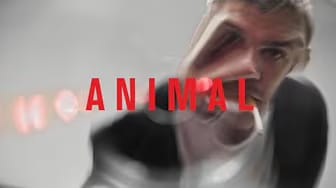 Post 8 by Ramez Michel Silyan on YouTube (video)