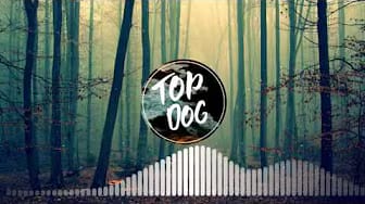 Post 4 by top dog official on YouTube (video)