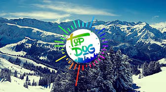 Post 2 by top dog official on YouTube (video)