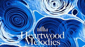 Post 2 by Heartwood Melodies on YouTube (video)
