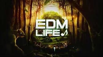 Post 1 by EDM Life on YouTube (video)