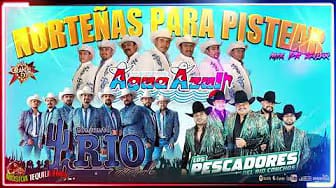 Post 8 by MÚSICA TEQUILA 8689 on YouTube (video)