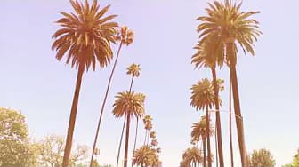 Post 7 by Phil N Good Music on YouTube (video)