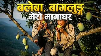 Post 4 by Purna Subedi on YouTube (video)