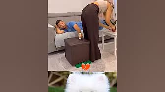 Post 1 by CatGroove on YouTube (video)