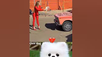 Post 2 by CatGroove on YouTube (video)