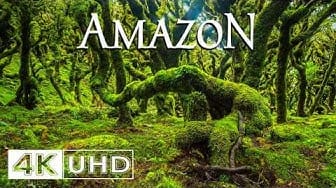 Post 7 by Deep Relax Nature 4K on YouTube (video)