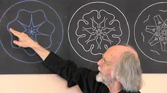 Post 2 by Wise Cosmos on YouTube (video)