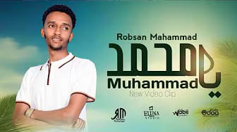 Post 3 by Robsan Mohammed on YouTube (video)