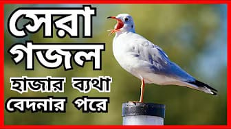 Post 5 by Islamic Word on YouTube (video)
