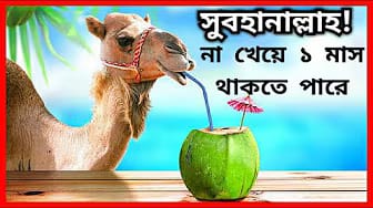 Post 1 by Islamic Word on YouTube (video)