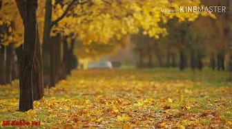 Post 2 by Sohel Tanvir Kabbo on YouTube (video)