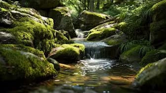 Post 8 by Relaxing Water Sound on YouTube (video)
