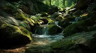 Post 1 by Relaxing Water Sound on YouTube (video)