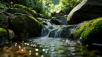 Post 6 by Relaxing Water Sound on YouTube (video)