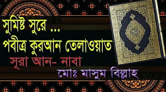 Post 7 by Md Hayat on YouTube (video)