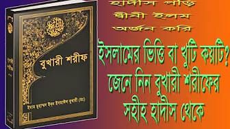 Post 2 by Md Hayat on YouTube (video)