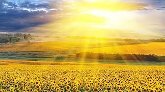 Post 1 by THE BEST MORNING MUSIC - Morning Energy! on YouTube (video)