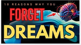 Post 8 by Mind Seed on YouTube (video)