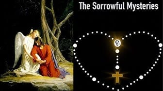 Post 5 by The Catholic Prayer Room on YouTube (video)