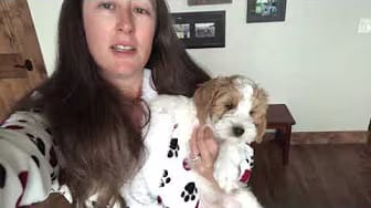 Post 10 by The Practical Puppy on YouTube (video)