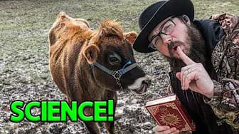 Post 3 by Quran Demolition Ranch on YouTube (video)