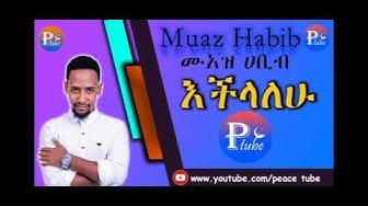 Post 8 by PEACE TUBE on YouTube (video)