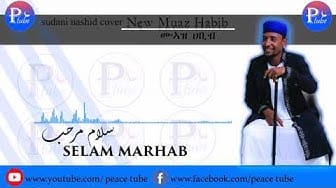 Post 6 by PEACE TUBE on YouTube (video)