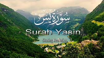 Post 7 by EMAM Student on YouTube (video)