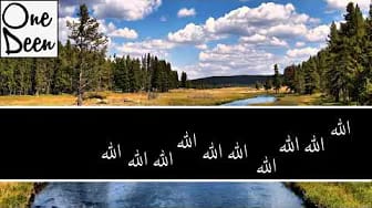 Post 4 by One Deen on YouTube (video)
