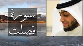 Post 7 by One Deen on YouTube (video)