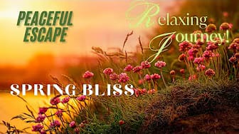 Post 9 by TRANQUIL SOUNDSCAPES on YouTube (video)