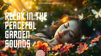 Post 4 by TRANQUIL SOUNDSCAPES on YouTube (video)