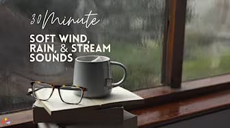 Post 10 by A Little Bit Ambience on YouTube (video)