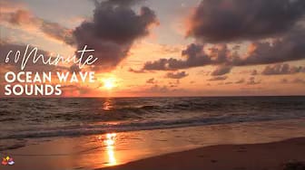 Post 8 by A Little Bit Ambience on YouTube (video)