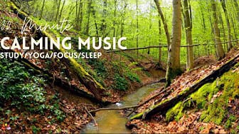 Post 6 by A Little Bit Ambience on YouTube (video)