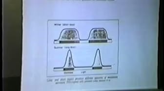 Post 7 by TAOS TV - The Ark Of Sothis Video Archive on YouTube (video)