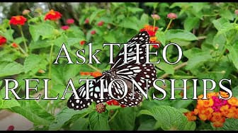 Post 3 by AskTHEO on YouTube (video)