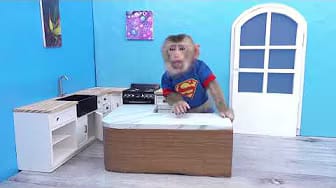 Post 10 by Coco Monkey Kiki on YouTube (video)