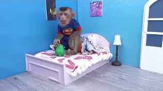 Post 8 by Coco Monkey Kiki on YouTube (video)