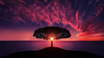 Post 2 by Meditation 500 BC on YouTube (video)
