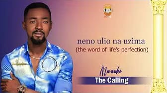 Post 8 by Minister Mwanko on YouTube (video)