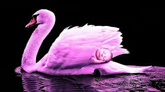 Post 3 by White Noise & Relaxation on YouTube (video)
