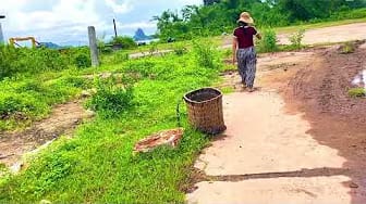 Post 2 by Hieu Vlogs on YouTube (video)