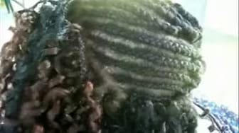 Post 7 by Rhuldhair on YouTube (video)