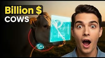 Post 3 by Why Matters on YouTube (video)