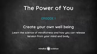 Post 3 by Mindful Science on YouTube (video)