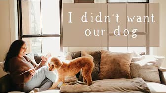 Post 2 by The Faithful Wife on YouTube (video)