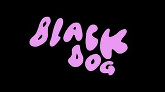 Post 8 by The Polar Boys on YouTube (video)